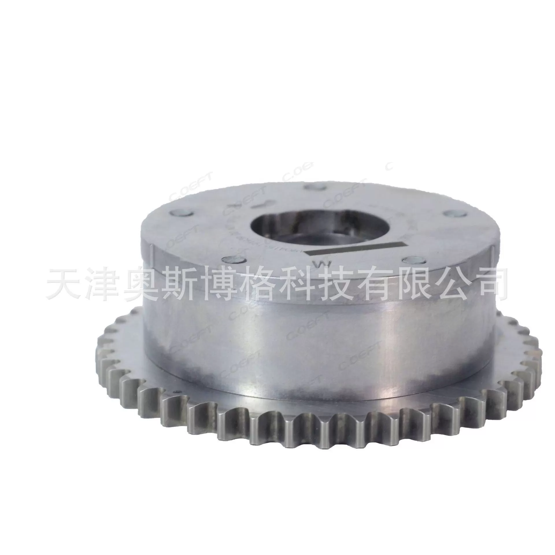 For Chery 4G16 Camshaft Adjuster E4G16-1006040BB BC BA